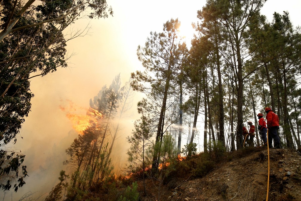 Bombeiros combatem fogo em Portugal (Foto: REUTERS/Rafael Marchante)