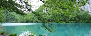 Parque na Croácia parece floresta encantada  (Regina Celia Travaglini/VC no G1)