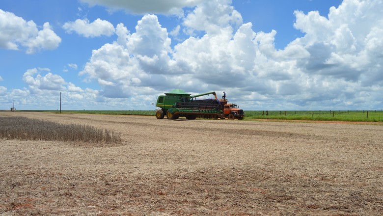agricultura-soja-colheita (Foto: Vinicius Galera/Ed. Globo)