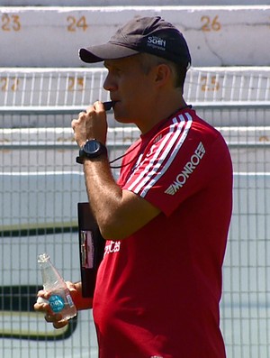 Palmeiras zera comissão técnica para 2017