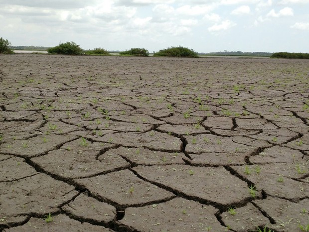 Local onde era lagoa sofre com a seca no Espírito Santo (Foto: Kaio Henrique/ TV Gazeta)