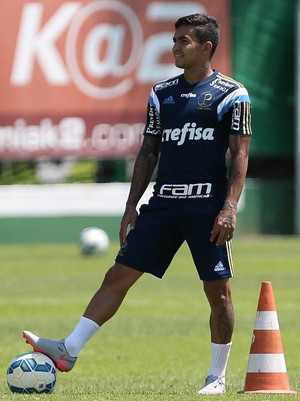 Por vaga na Libertadores, Palmeiras inicia semana que vale a temporada