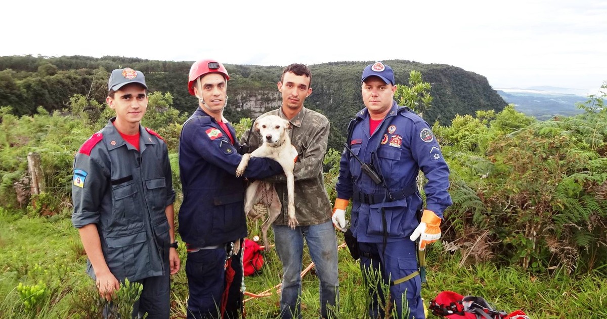 G1 Cachorro é Resgatado Por Bombeiros Após Cair De Penhasco Em Sc Notícias Em Santa Catarina 3613