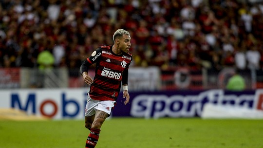 Foto: (Marcelo Cortes / Flamengo / Divulgação)