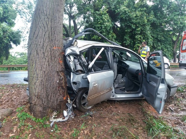 G1 Bebê De Quatro Meses Morre Após Motorista Bater O Carro Em árvore