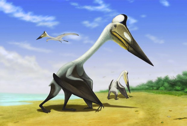 Ilustração mostra como seria o pterossauro recém-descoberto na Romênia (Foto: Divulgação/Universidade de Southampton)