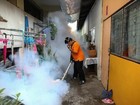 OMS diz que é 'altamente provável' que zika se espalhe pela Ásia