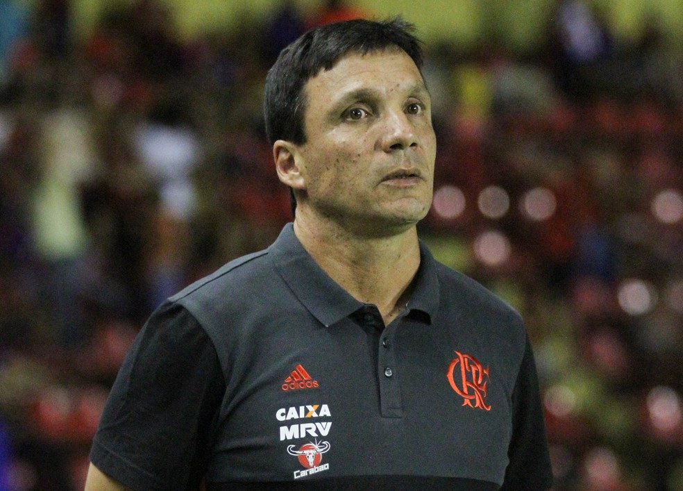 Zé Ricardo sofre pressão no Flamengo (Foto: Adelson Costa / Pernambuco Press)