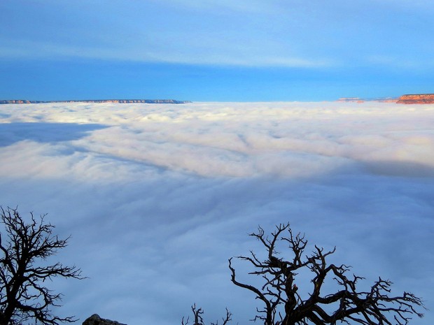 'Tapete' de nuven encobre paisagem do Grand Canyon. (Foto: AP Photo/National Park Service, Maci MacPherson)