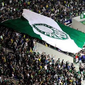 Verdão passa o Grêmio e se torna o segundo com mais sócios-torcedores