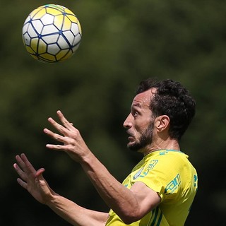 Provável titular, Dracena se anima com 'final' pelo Palmeiras em BH