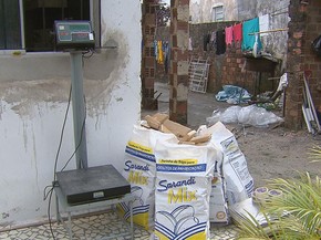 Polícia apreende 273 quilos de maconha na Zona Norte do Recife. (Foto: Reprodução / TV Globo)