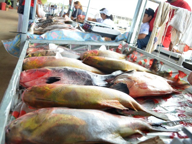 G Em Petr Polis Rj Feira Do Pescado Ser Realizada De Quarta A