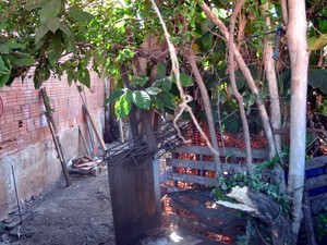 Terreno próximo a casa estava com entulhos e foi limpo após morte, diz vizinha (Foto: Fernanda Zanetti/G1)