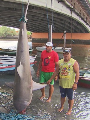 Pescador ganhou R$ 360 e uma cesta básica ao fisgar um tubarão (Foto: Reprodução/TV Globo)