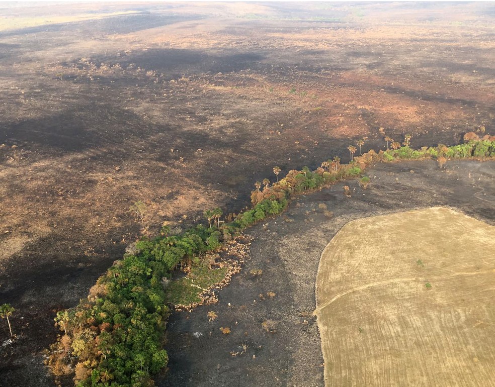Imagem aérea mostra estragos no Parque Nacional da Chapada dos Veadeiros (Foto: Vitor Santana/G1)