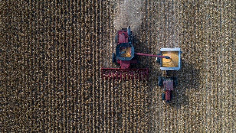 Produtor colhendo milho no Texas, EUA  (Foto: REUTERS/Adrees Latif)