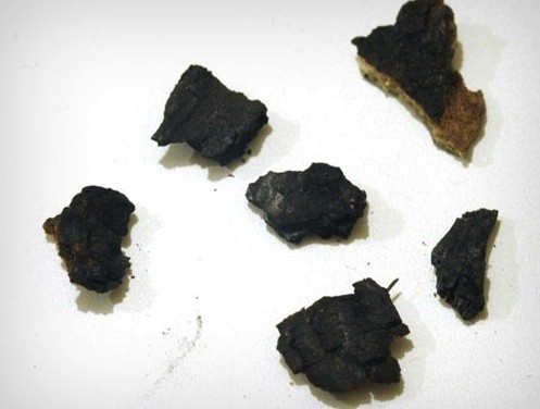 Pedaços da casca queimada (Foto: Ebay/Reprodução) Pedaços da casca queimada (Foto: Ebay/Reprodução)
