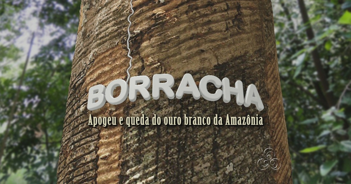 G1 Série de reportagens conta a história do Ciclo da Borracha na Amazônia notícias em Amazonas