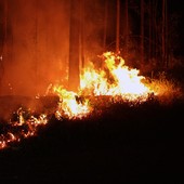 Incêndio destrói mata em horto de Rio Claro (Incêndio destrói mata em horto de Rio Claro (Vitor Liasch/Arquivo Pessoal))