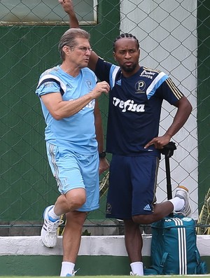 Zé Roberto vê Palmeiras com 