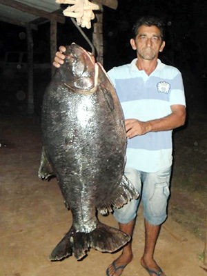 Pescador exibe peixe de 46 quilos (Foto: Assessoria/ Sema-MT)