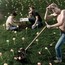 The Lumineers