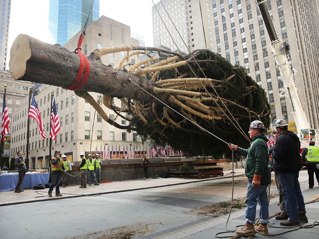 Árvore é erguida por guindaste em Manhattan (Foto: Spencer Platt/Getty Images North America/AFP) Árvore é erguida por guindaste em Manhattan (Foto: Spencer Platt/Getty Images North America/AFP)