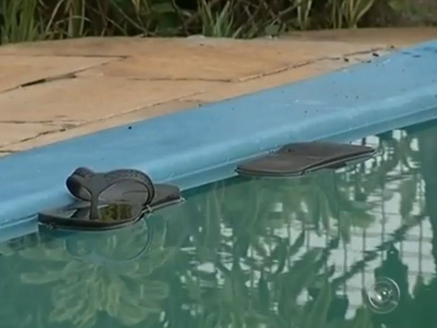 Homem pulou  na piscina da casa para escapar das abelhas  (Foto: Reprodução / TV TEM)
