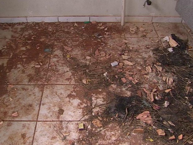 Mulher deu à luz dentro do banheiro cheio de sujeira (Foto: Reprodução/ TV TEM) Mulher deu à luz dentro do banheiro cheio de sujeira (Foto: Reprodução/ TV TEM)