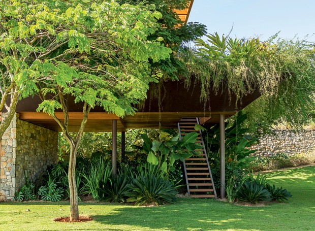 Sob a escada | Plantadas em frente à casa, duas sibipirunas. O espaço embaixo dos quartos foi preenchido com costelas-de-adão, íris0azul e cicas. Na jardineira do andar superior, pendem russélias, alpínias e jasmins-amarelos (Foto: Edu Castello/Editora Globo)