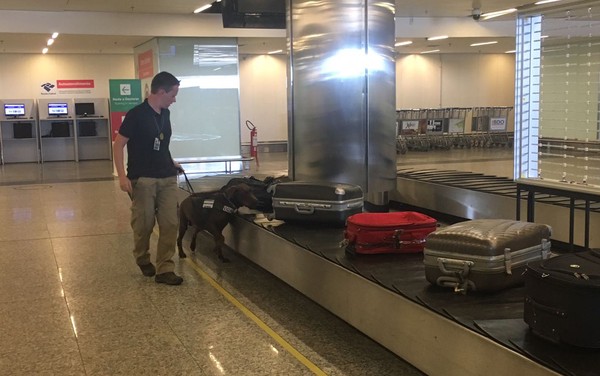 [Brasil] Aeroporto do DF é 1º a usar cães para fiscalizar alimentos em bagagens Fiscalizacao