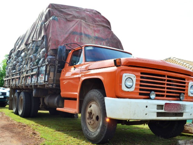 Caminhão carregava mais de oito toneladas de carvão vegetal, que era transportado por um caminhão (Foto: Divulgação/Polícia Ambiental do Paraná)