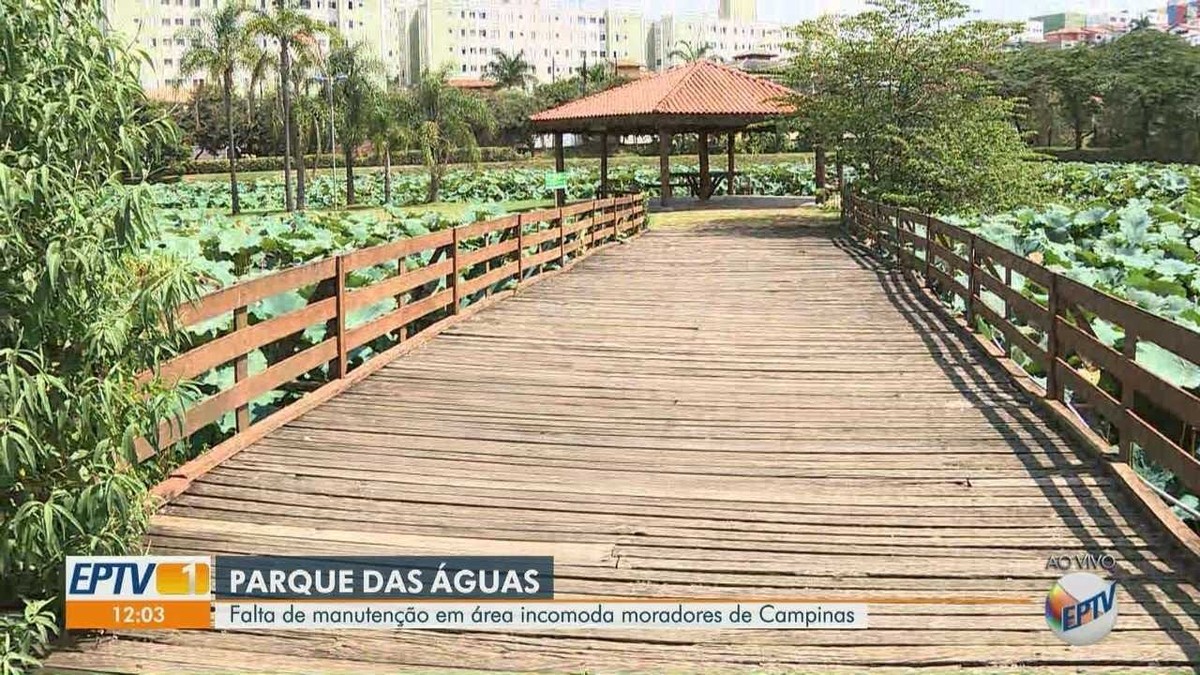 Parque Das Guas De Campinas Tem Lagoa Assoreada E Ponte T Buas