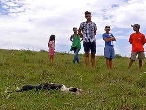 Cães foram enterrados nos terrenos baldios da própria localidade.  (Foto: Reprodução /Inter TV)