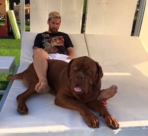 Messi posa com cachorro