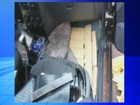 Jovem é preso com maconha escondida no carro em Cedral 
