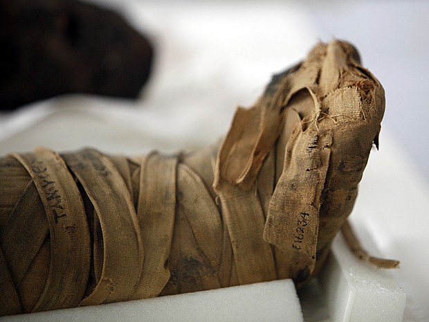 Múmia Egito (Foto: Jacqueline Larma/AP)