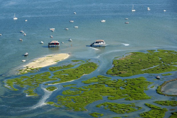 Vista aérea da Ilha dos Pássaros (Ile aux oiseaux), na França (Foto: Nicolas Tucat/AFP)