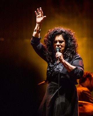 Gal Costa (Foto: Raul Zito/G1)
