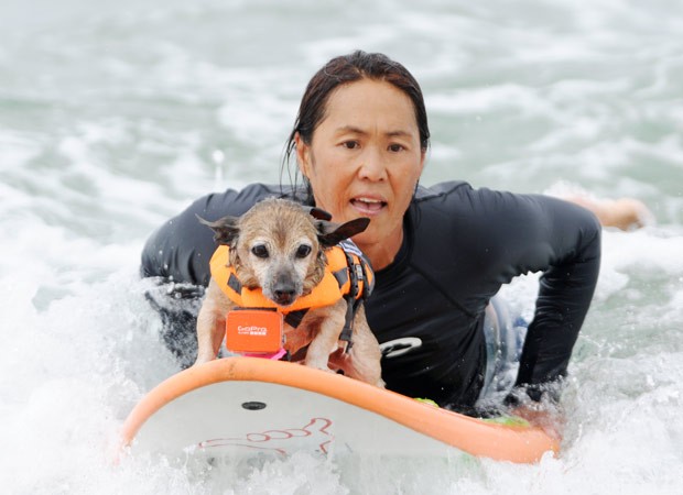 Cão Kihei surfa com sua dona, Jill Nakano, em Huntington Beach (Foto: Carlos Delgado/AP)