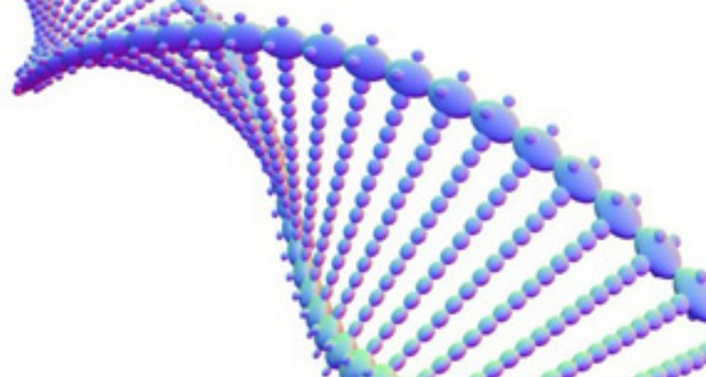 Espiral de DNA - código é reproduzido dentro das células (Foto: AFP)