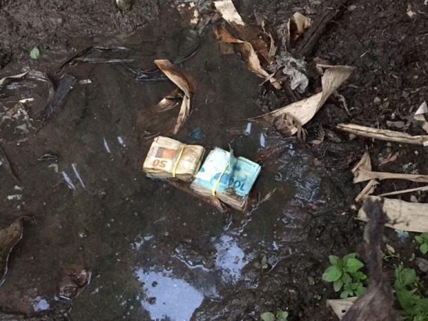 Dinheiro foi encontrado em lama da casa de candidato em Cutias (Foto: Divulgação/MPE)
