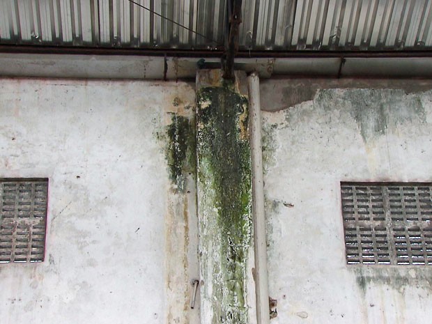 Em PE, SDS promete iniciar obra no Instituto Tavares Buril em até 15 dias (Foto: Reprodução / TV Globo)
