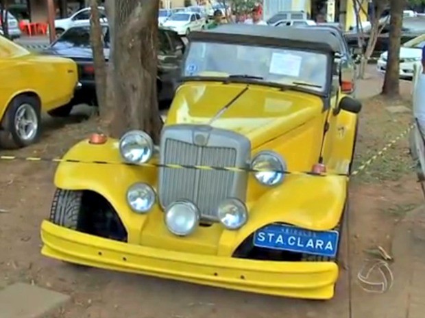 Exposição é realizada na Praça 8 de Abril, em Cuiabá (Foto: Reprodução/TVCA)