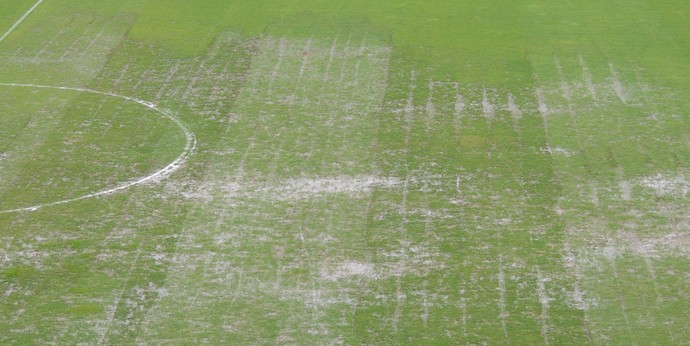 gramado Arena Joinville (Foto: João Lucas Cardoso)