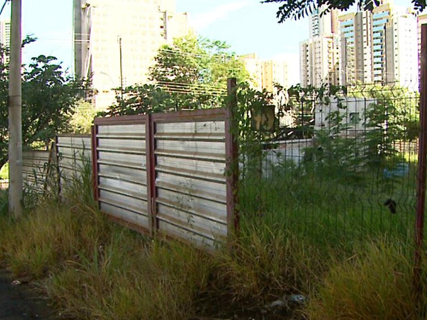 Mato alto de prédio abandonado invade calçada, em Ribeirão (Foto: Maurício Glauco/EPTV)