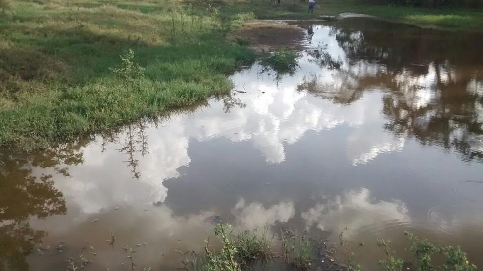 Peixes apareceram mortos no córrego que abastece o Bairro Água Espalhada (Foto: Dayane Mara Frasson/Cedida)