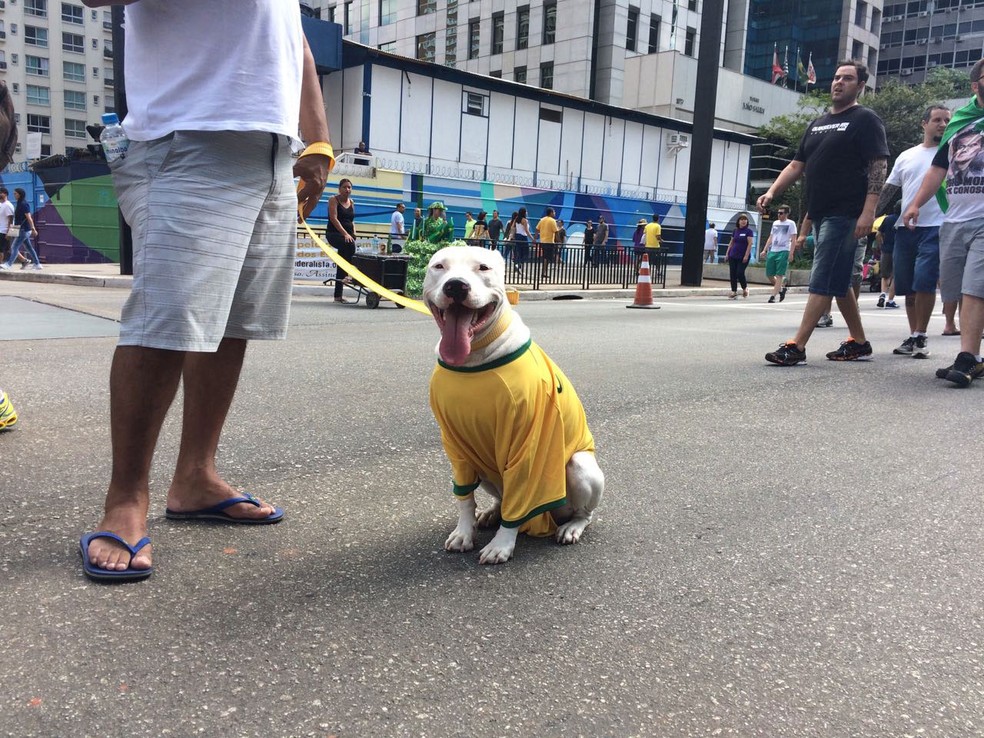 Manifestante leva cão com a camisa da seleção brasileira a protesto na Avenida Paulista (Foto: Paulo Toledo Piza)