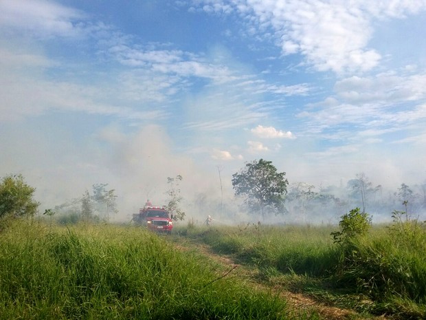 Corpo de Bombeiros foi acionado por volta das 13h30 desta sexta-feira (24) (Foto: Stephanie Fonseca/G1)